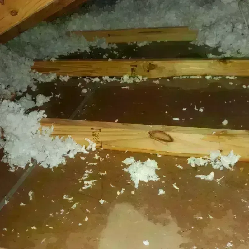 Attic Water Damage in Social Circle, GA